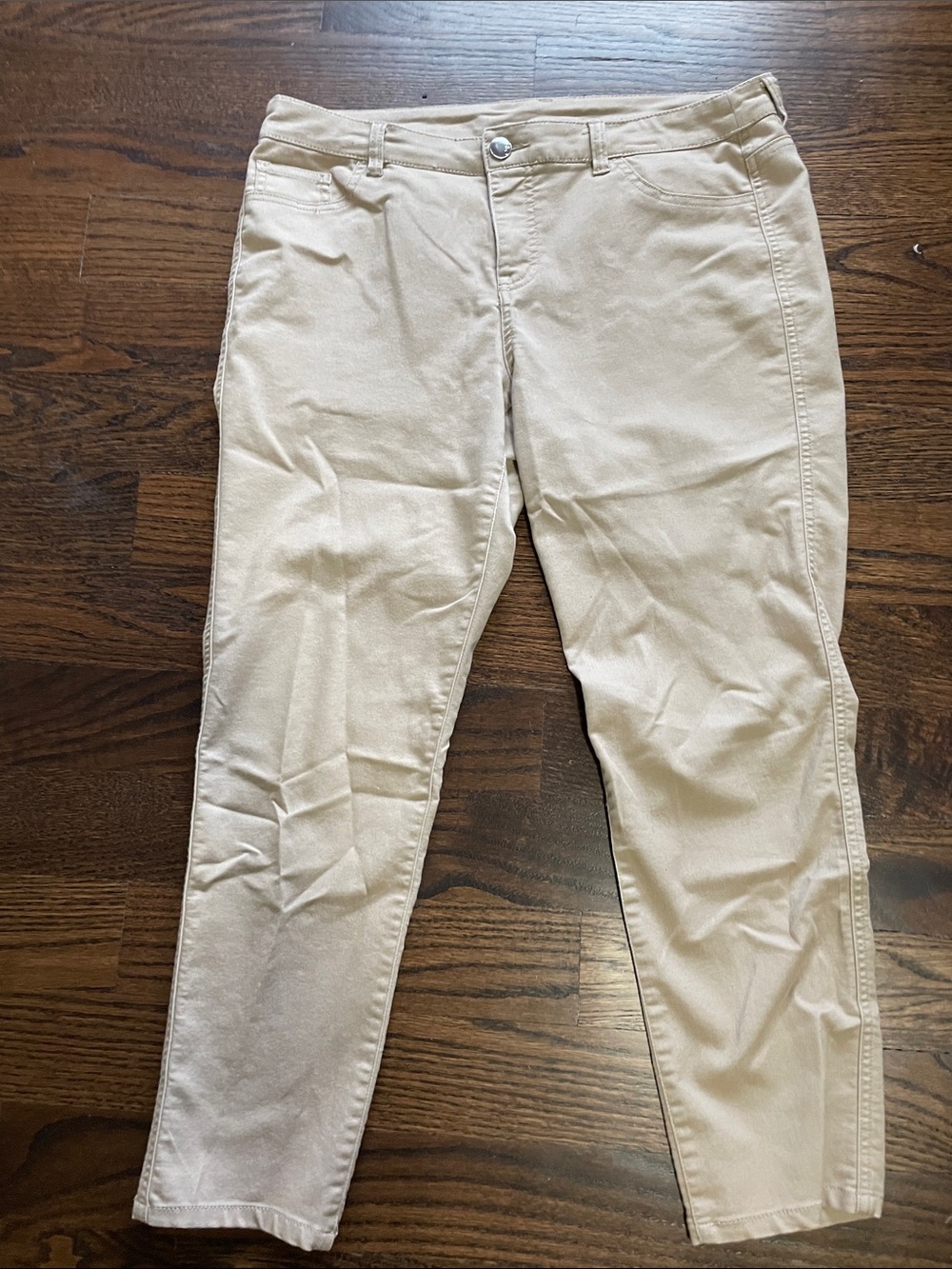 Style & Co. Sand/Tan Casual Straight Leg Pants Size 12P